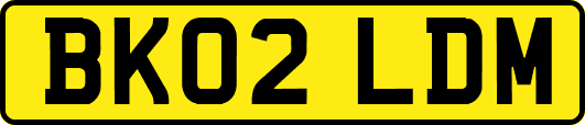 BK02LDM