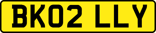 BK02LLY