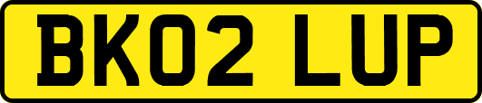 BK02LUP