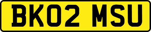 BK02MSU