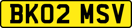 BK02MSV