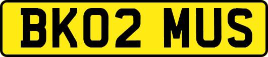 BK02MUS