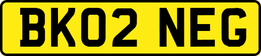 BK02NEG