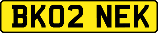 BK02NEK