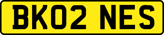 BK02NES