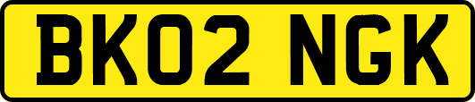 BK02NGK