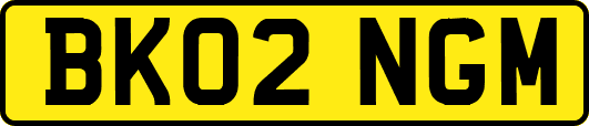 BK02NGM