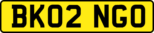 BK02NGO