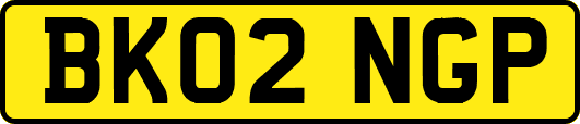 BK02NGP