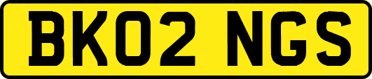 BK02NGS