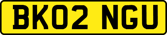 BK02NGU
