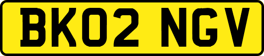 BK02NGV