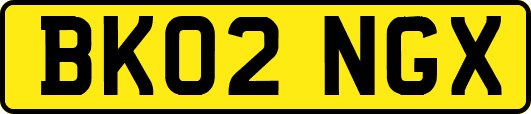 BK02NGX