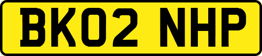 BK02NHP