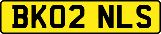 BK02NLS