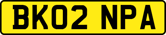 BK02NPA