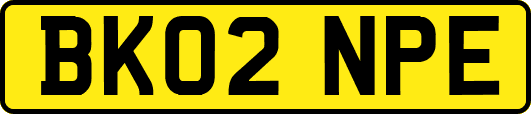 BK02NPE