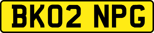 BK02NPG