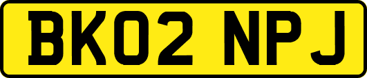 BK02NPJ