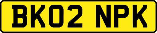 BK02NPK