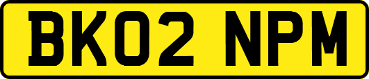 BK02NPM