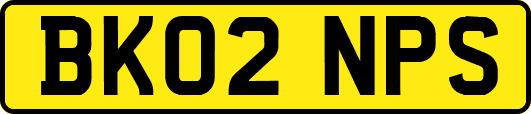 BK02NPS