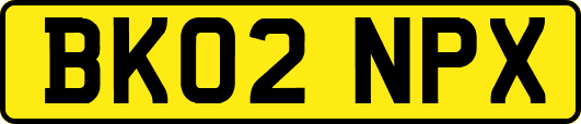BK02NPX
