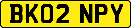 BK02NPY