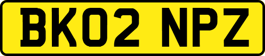 BK02NPZ