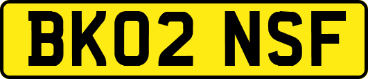 BK02NSF