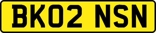 BK02NSN