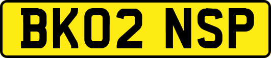 BK02NSP