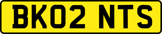 BK02NTS