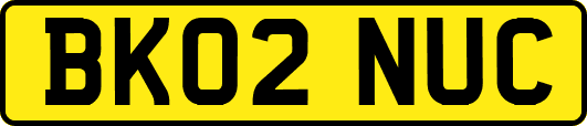 BK02NUC