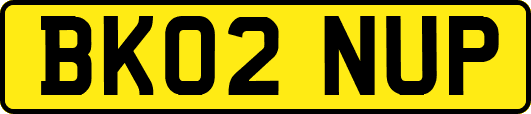 BK02NUP