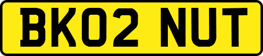 BK02NUT