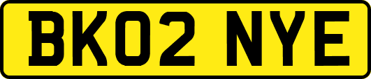 BK02NYE