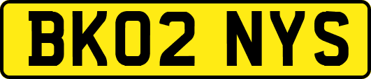 BK02NYS