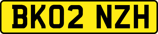 BK02NZH