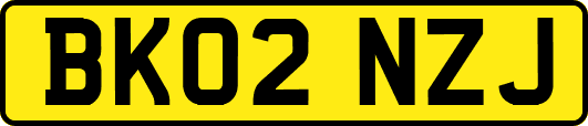 BK02NZJ