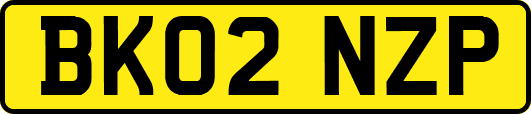 BK02NZP