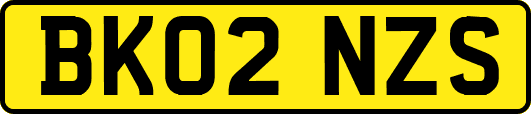 BK02NZS
