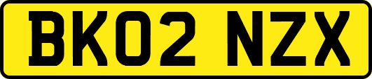 BK02NZX