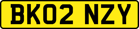 BK02NZY
