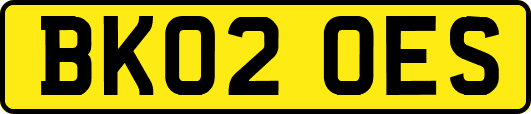 BK02OES