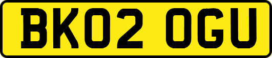 BK02OGU