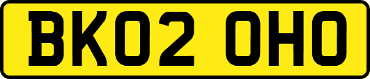 BK02OHO