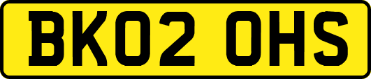 BK02OHS