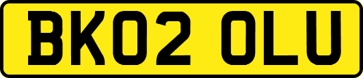 BK02OLU