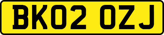 BK02OZJ